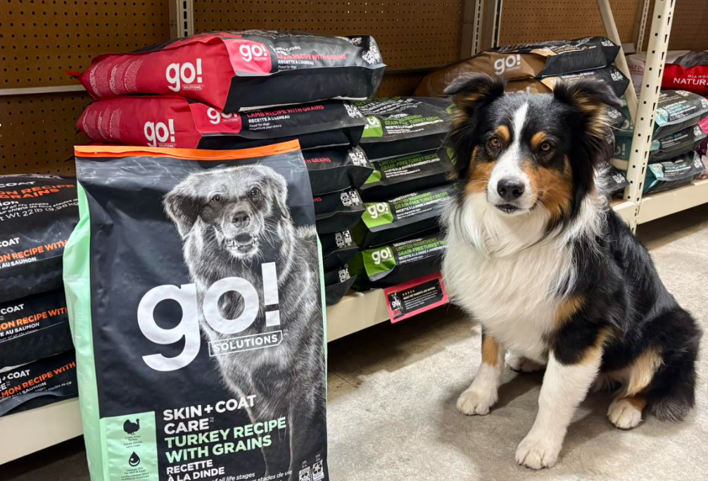 Village Mercantile Pet Food & Supplies in Corrales, NM